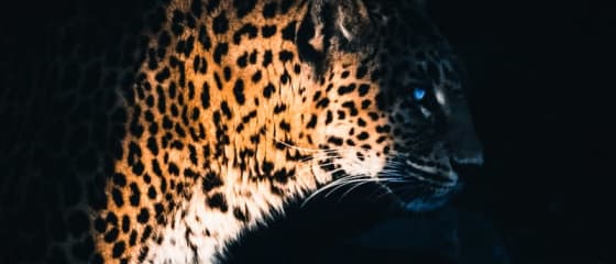 Yggdrasil Partners ReelPlay, за да освободи Jaguar SuperWays от Bad Dingo